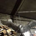  , , 46  -  14  2023    