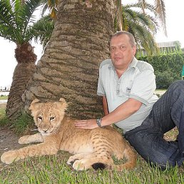 ���� ��������, ������, 71 ��� - ��������� 12 ������� 2022