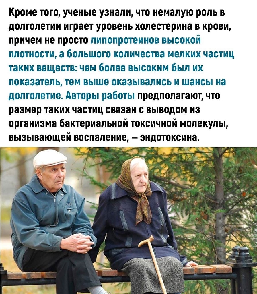       - 3