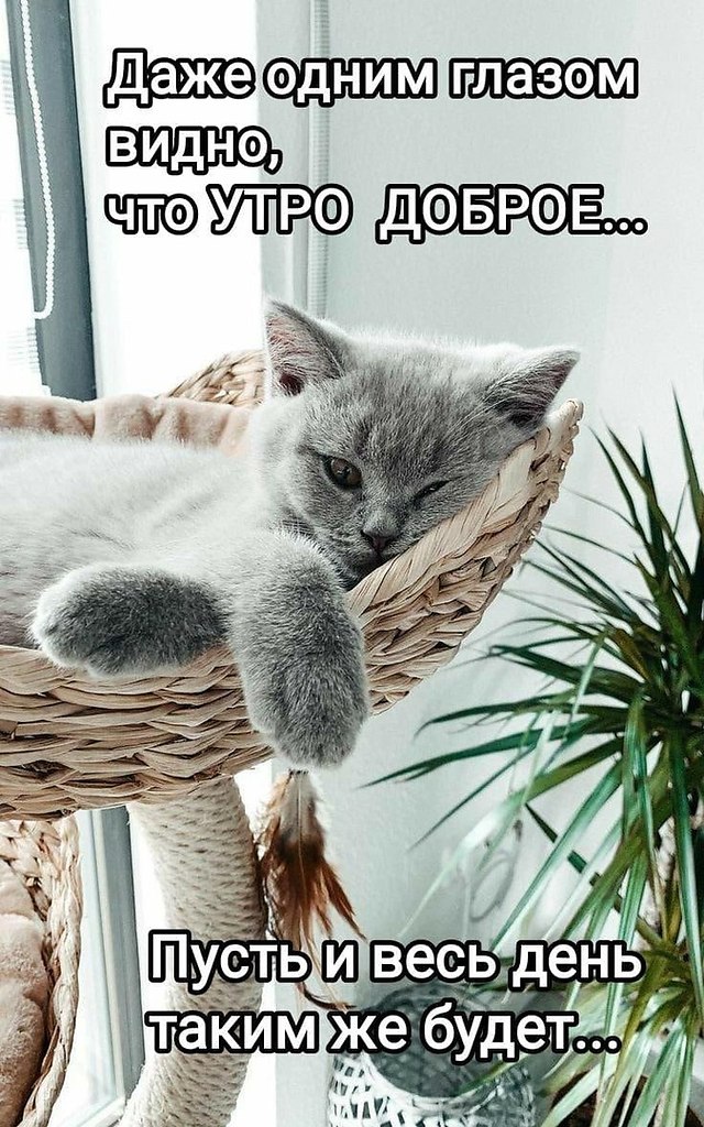 " ") - 22  2022  08:21