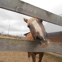  ***L***,   -  16  2022     16.10.2022 .