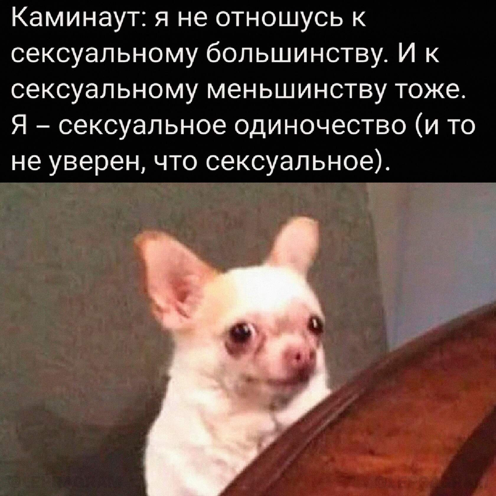 ***Victoria Viktorovna*** - 19  2022  04:59