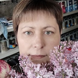 �����, �������, 48 ���