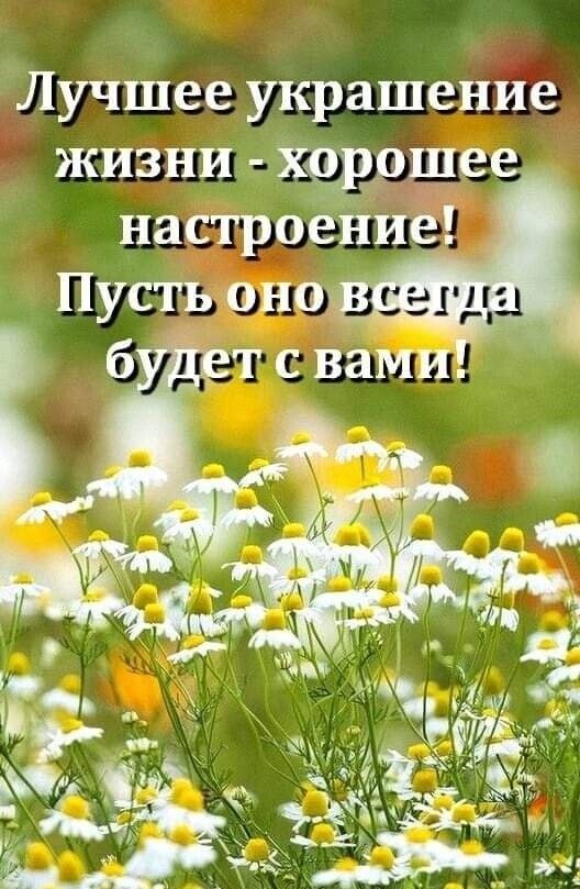   - 5  2022  07:42