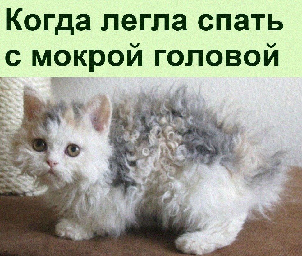   :D - 12  2022  10:37