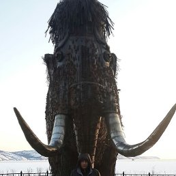 ����, ������, 40 ���