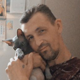 ����, ������, 49 ���