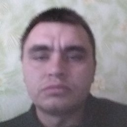 ����, ������, 33 ����