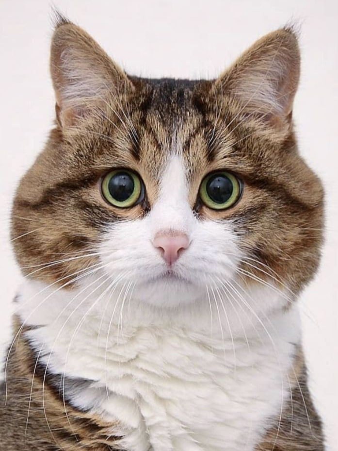  !   .      ?     ...  ...