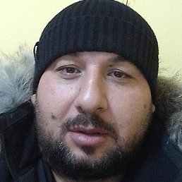 �����, ������, 37 ���