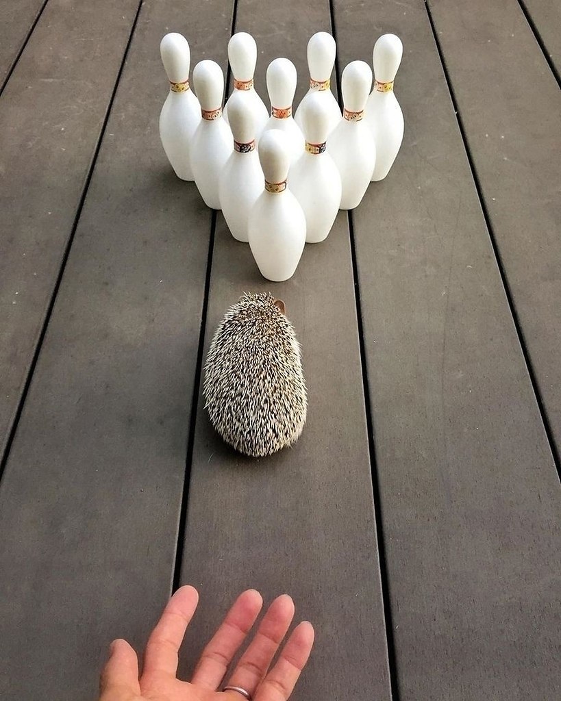 : 