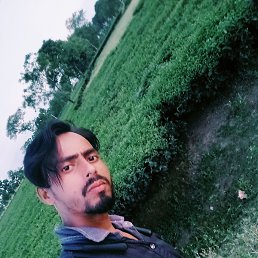 Fugf, , 37 
