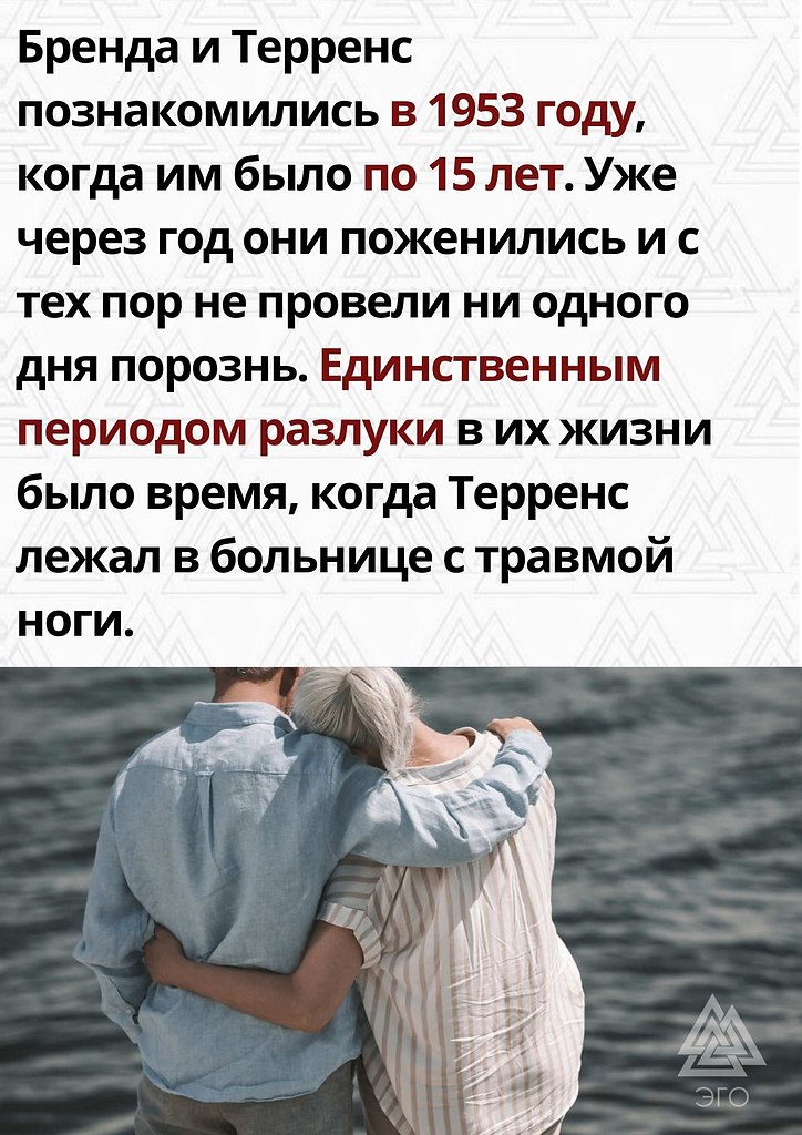  | ,  - 11  2022  10:15 - 2