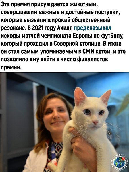 Ждeм peзультaтoв кoнкуpca и бoлeeм зa кpacaвчикa Ахиллa - 3