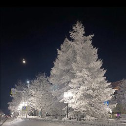 ���, ��������, 46 ���