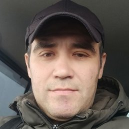 �����, ������, 41 ���