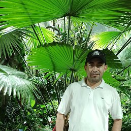 ���� ����, �����������, 35 ��� - ��������� 4 ������� 2022