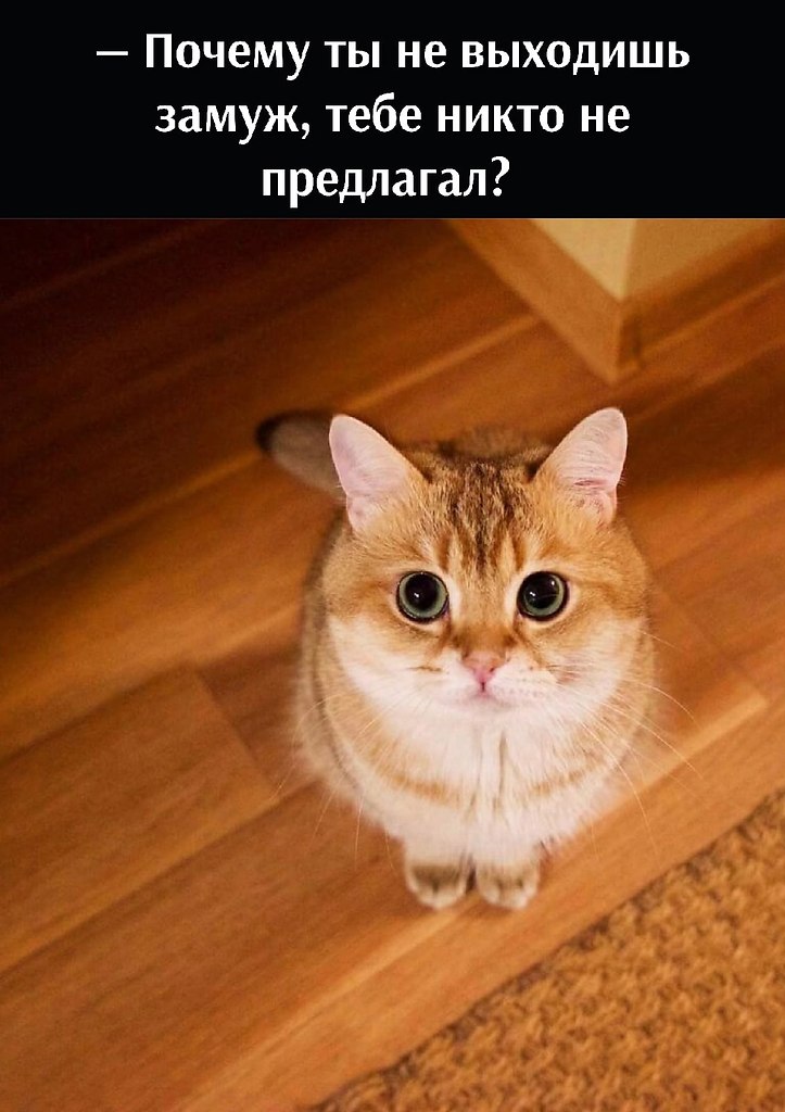       - 8  2022  16:27