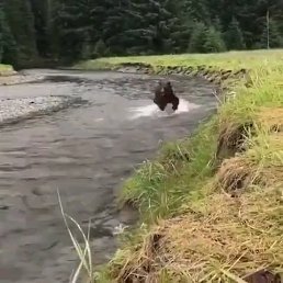 ���� ����, �������, 52 ���� - ��������� 19 ������� 2023