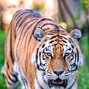 ���� ����, ����������, 56 ��� - ��������� 25 ������ 2023 � ������ ���� ����������