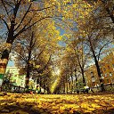 ���� Yuriy, ������, 46 ��� - ��������� 8 ���� 2022 � ������ ���� ����������