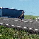 ���� ���, �������� - ��������� 4 ���� 2022 � ������ ���� ����������