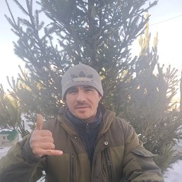 ���� ���������, ������������, 40 ��� - ��������� 28 ������� 2022