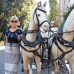 ������, ������, 68 ���