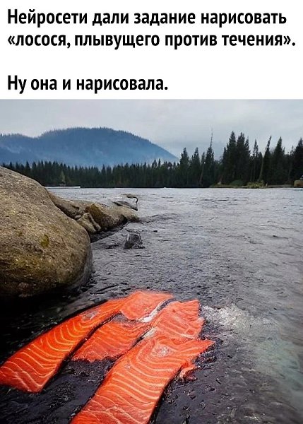 Нейросеть оперирует набором тех образов, которые нравятся человеку. .Она, как и ваш домашний питомец ...