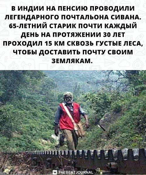 А кто сказал, что почтальон - это не опасная профессия?