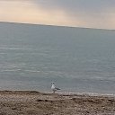 ���� �����, ������, 76 ��� - ��������� 27 ������� 2022 � ������ ���� ����������