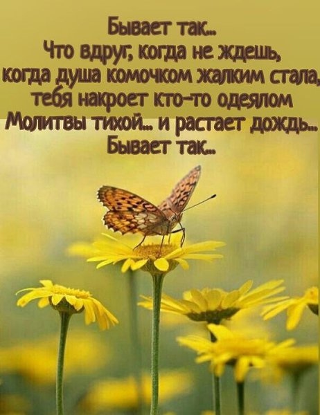   - 12  2022  08:34