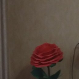, , 40 