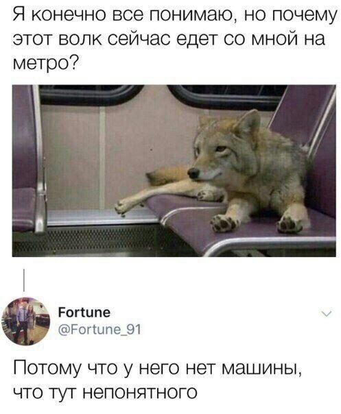    - 21  2022  18:15