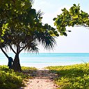 ���� ������, ������, 62 ���� - ��������� 4 ������� 2022