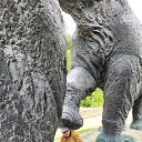 ���� Andrey, ����, 60 ��� - ��������� 7 ���� 2022 � ������ ���� ����������