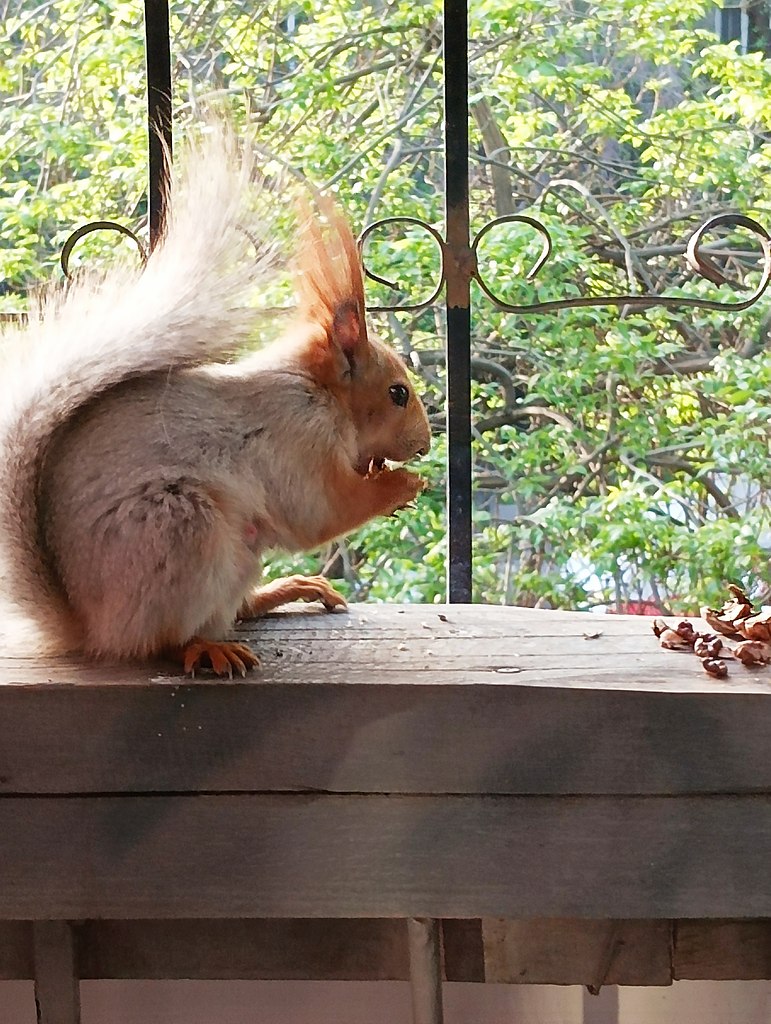 ����������)) - 6