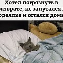 ���� ���������, ��������� - ��������� 5 ���� 2022