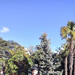 �����, �����������, 39 ���