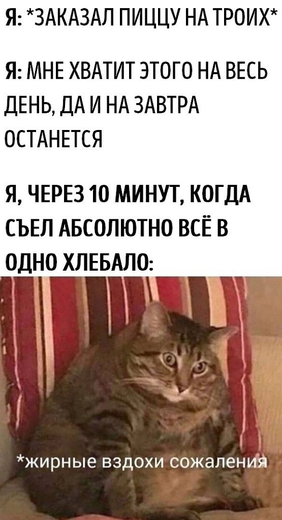 ☆   ☆ - 19  2023  21:25