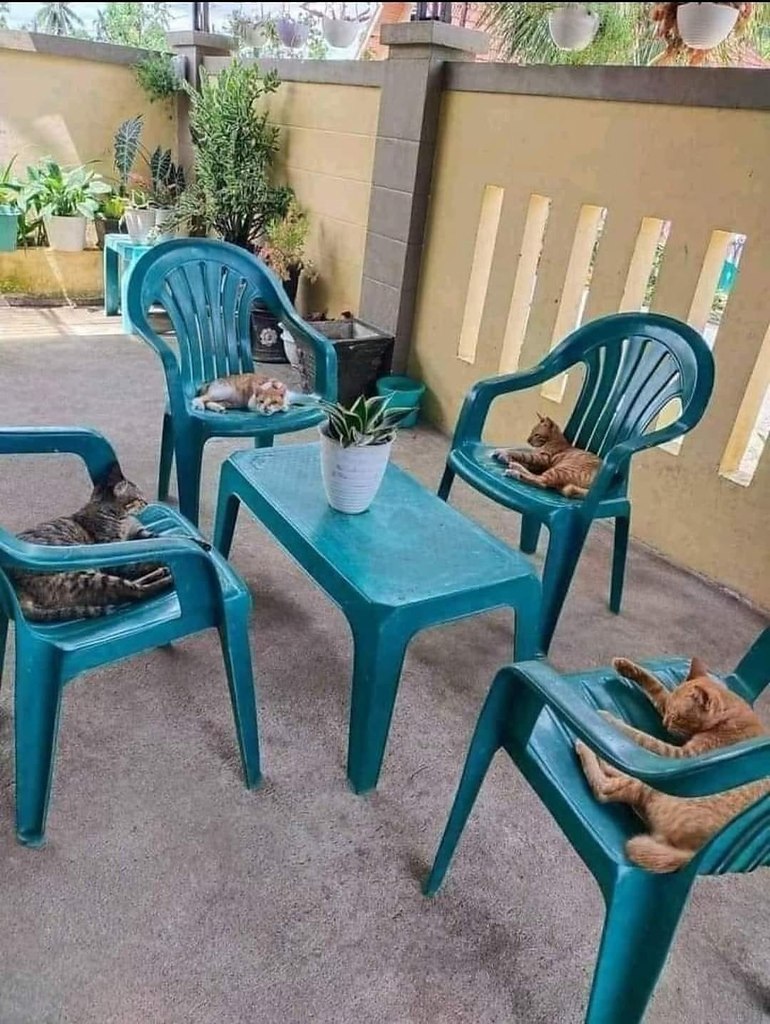 ,     )))