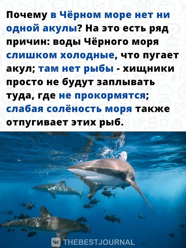    ,     ,            ... - 2