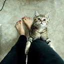 ���� �������, ������� - ��������� 12 ������� 2023 � ������ ���� ����������