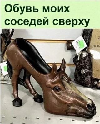   - 11  2022  19:38