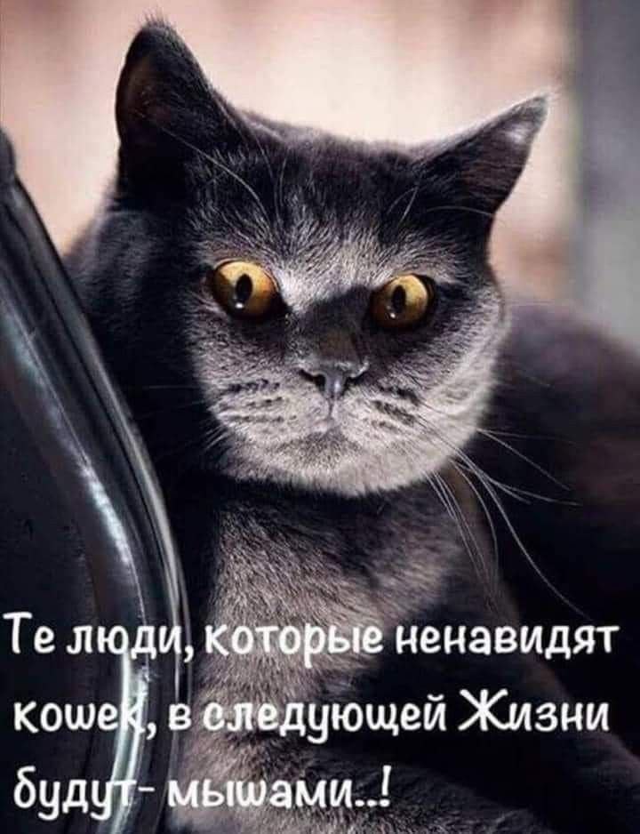   - 27  2022  00:00