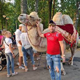 ���� ����, ������, 38 ��� - ��������� 23 ������ 2023