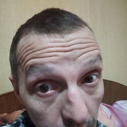 ���� �������, ����, 48 ��� - ��������� 17 ������ 2023