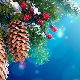 ������ �������, ������, 61 ���