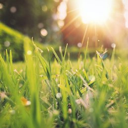 ���� ������, ��������, 36 ��� - ��������� 12 ������� 2022