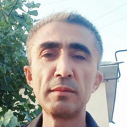 , , 50 